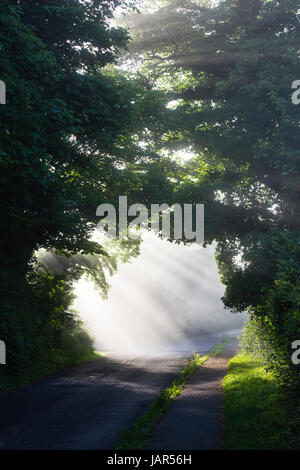 Ländlichen englischen Feldweg und Straße umgeben von Bäumen in den frühen Morgennebel und Sonnenlicht. Oxfordshire. UK Stockfoto