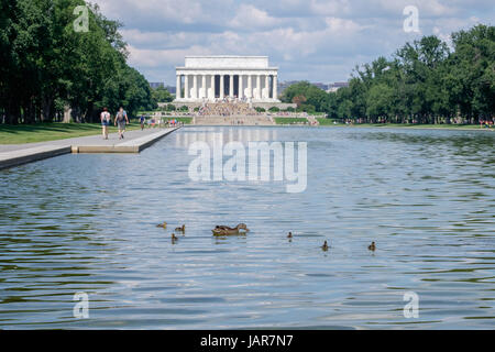 Lincoln Memorial mit Ente und Entenküken im Reflecting Pool Stockfoto