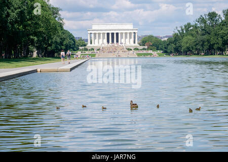 Lincoln Memorial mit Ente und Entenküken im Reflecting Pool Stockfoto