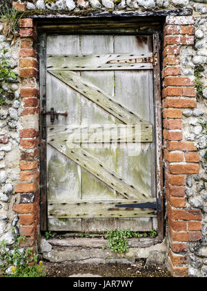 Alte Holztüren in Backstein und Feuerstein Wände in einem rustikalen Garten in Norfolk, England. Stockfoto