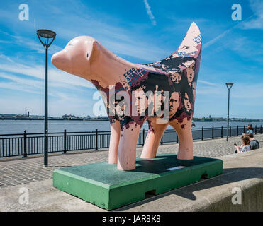 2m hohe Nachbildung der Superlambanana Skulptur von japanische Künstlerin Tara Chiezo durch den Mersey in Liverpool UK Stockfoto