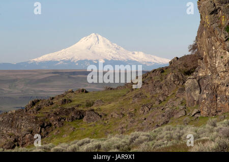 Mount Hood zeichnet sich auf der Seite der Oregon Reisen entlang des Columbia River Stockfoto