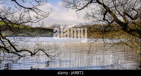 Blick über Coniston Water von niedrig in der Nähe von Peel am Ostufer. Stockfoto