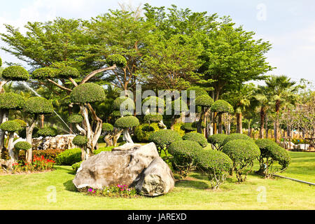 Schöner Garten Stockfoto