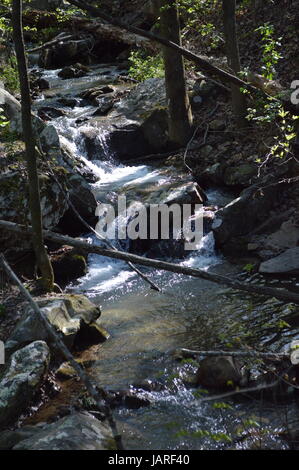 Oak Mountain State Park Stockfoto