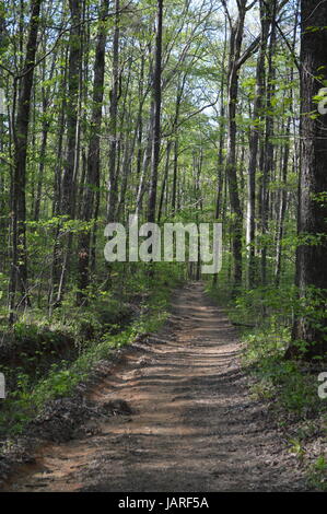 Oak Mountain State Park Stockfoto