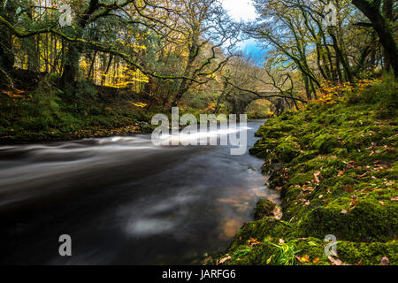 Der Fluss Dart Holne Brücke auf Dartmoor. Stockfoto