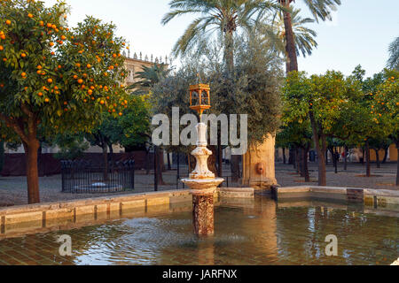 Orange Hof, berühmten Mezquita von Córdoba Spanien wurde später in eine Kathedrale umgewandelt. Stockfoto