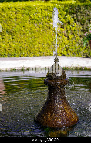 Typischen andalusischen Patio mit Brunnen und zahlreichen Pflanzen Geranien und Nelken an den Wänden. Córdoba, Spanien Stockfoto