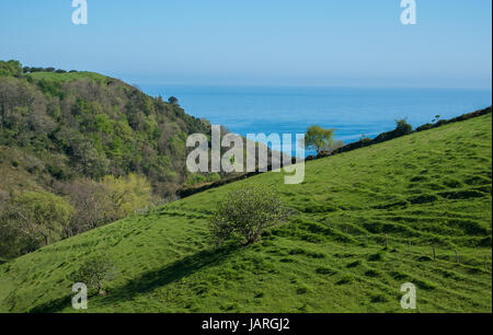 Wiesen mit Blick aufs Meer im Baskenland Stockfoto