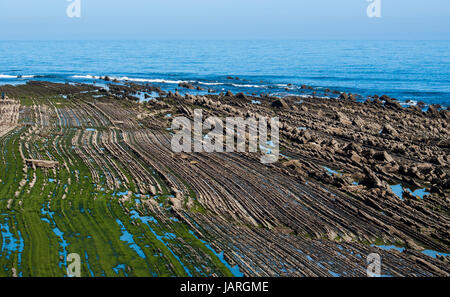 Flysch, Sakoneta Strand, Baskenland Stockfoto