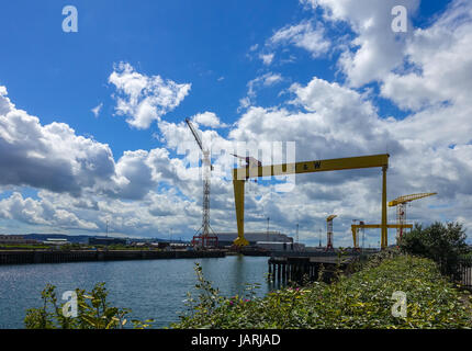 Samson und Goliath Portalkränen auf der Werft von Harland & Wolff in Belfast, Nordirland, Vereinigtes Königreich. Gebaut von der deutschen engineering Firma Krupp. Stockfoto