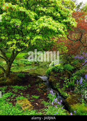 Strom an Sezincote Gärten Stockfoto