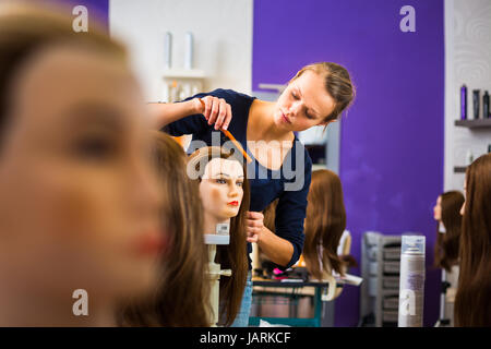 Hübschen weiblichen Friseur/Haidressing Lehrling/Student training auf einem Lehrling-Kopf Stockfoto