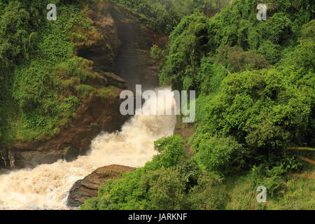 Murchison fällt in Uganda, von unten gesehen. Stockfoto