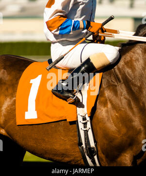 Jockey reitet Pferd entlang der Strecke, die Vorbereitung auf Rennen Nummer eins Stockfoto