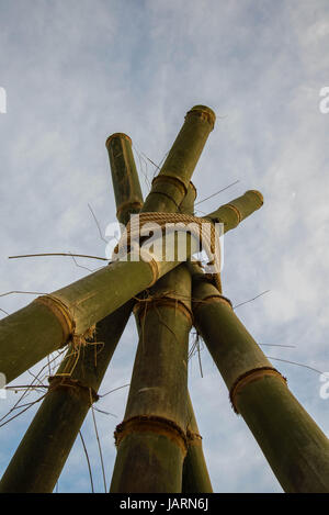 Bambus-Stangen zusammengebunden als Symbol der Einheit. Stockfoto