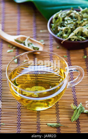 Verveine Tee auch Zitronenverbene Stockfoto