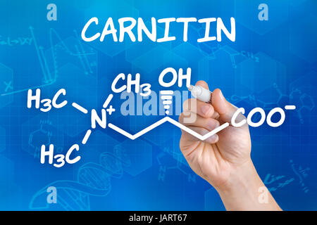 Hand Zeichnet Chemische Strukturformel von Carnitin Stockfoto