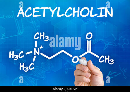 Hand Zeichnet Chemische Strukturformel von Acetylcholin Stockfoto