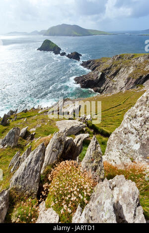 auf der Suche von Dingle-Halbinsel im Westen Irlands auf Blasket Inseln während Himmel clearing ist, koordiniert: 52.109576,-10.477570, Forderungen Enfused Stockfoto