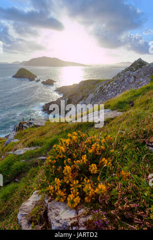 auf der Suche von Dingle-Halbinsel im Westen Irlands auf Blasket Inseln während Himmel clearing ist, koordiniert: 52.109576,-10.477570, Forderungen Enfused Stockfoto