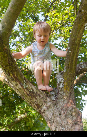Junge will Apfelbaum im Sommer springen Stockfoto