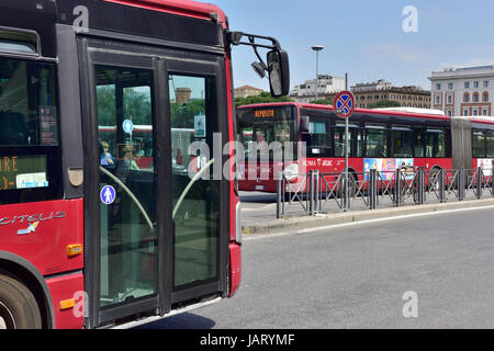 Rom-Busse vor Roma Termini (Stazione Termini) Roms wichtigste ÖPNV Terminal für Eisenbahn, Straßenbahnen, Taxis, u-Bahn und Busse Stockfoto