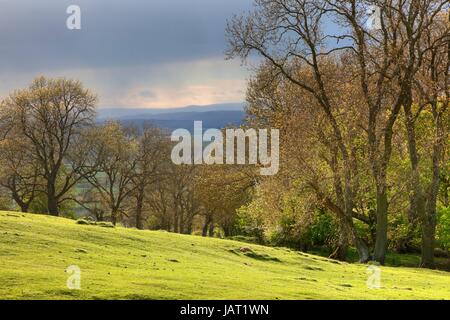 Blick vom Dover Hügel in der Nähe von Chipping Campden des nahenden Regenwolken. Gloucestershire, England. Stockfoto