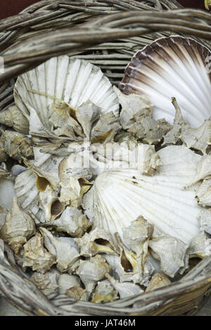 Schnecken und Shell in Weidenkorb in Kunsthandwerksmarkt, Natur Stockfoto