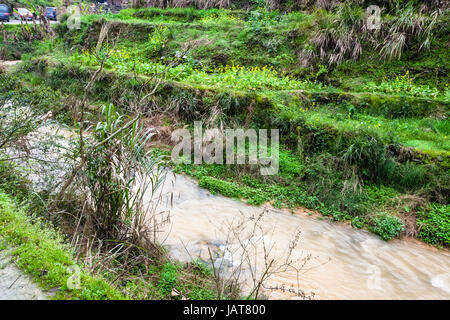 Reisen Sie nach China - Wasser-Strom in der Nähe von terrassierten Reisfelder in Dazhai Dorf im Gebiet von Longsheng Reisterrassen (Dragon es Rückgrat Terrasse, Longji Rice Stockfoto