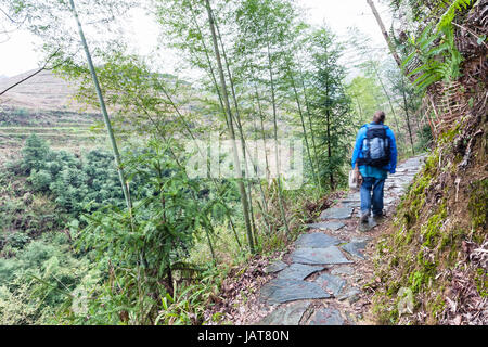 Reisen Sie nach China - Touristen zu Fuß am nassen Pfad am Hang des grünen Hügel in der Nähe von Dazhai Dorf im Gebiet von Longsheng Reisterrassen (Dragon es Rückgrat Terrasse, L Stockfoto