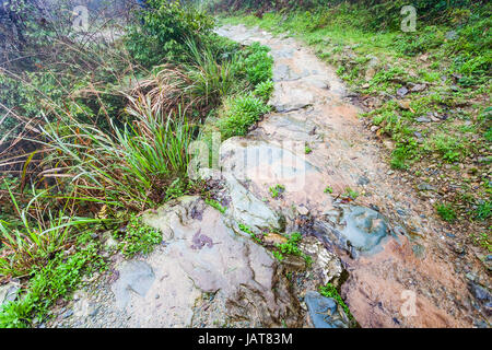 Reisen nach China - nassen Weg auf terrassierten Hügel in Dazhai Longsheng Reisterrassen (Dragon es Rückgrat Terrasse, Longji Reisterrassen) Land im Frühling s Stockfoto