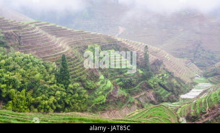 Reisen Sie nach China - Blick auf terrassenförmig angelegten Reis Gärten über Dunst aus Tiantouzhai Dorf im Bereich Dazhai Longsheng Reisterrassen (Dragon es Rückgrat Terrasse, Stockfoto