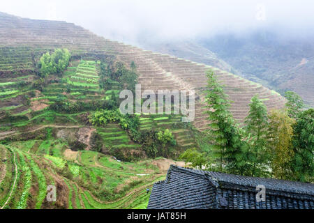 Reisen nach China - Blick vom Tiantouzhai Dorf terrassierten Felder im Bereich Dazhai Longsheng Reisterrassen (Dragon es Rückgrat Terrasse, Longji Reis Terrasse Stockfoto