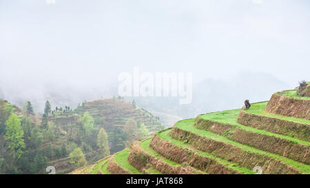 Reisen Sie nach China - oben Blick auf terrassenförmig angelegten Plantagen auf Hügeln von Tiantouzhai Dorf im Bereich Dazhai Longsheng Reisterrassen (Dragon es Rückgrat terra Stockfoto