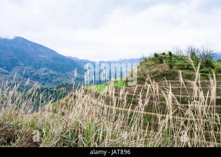 Reisen Sie nach China - Blick auf terrassierten Hügel in Dazhai Land im Frühjahr aus Sicht sieben Sterne Chase The Moon im Bereich Longsheng Reisterrassen (Longji Stockfoto