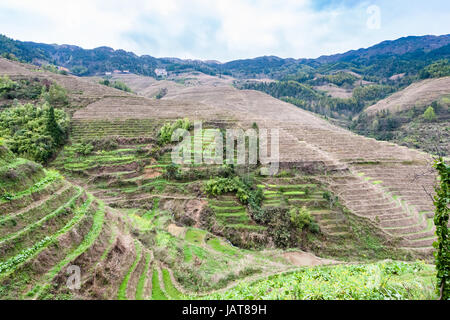 Reisen Sie nach China - terrassierten Feldern in der Nähe von Dazhai Dorf im Land von Longsheng Reisterrassen (Dragon es Rückgrat Terrasse, Longji Reisterrassen) im sprin Stockfoto