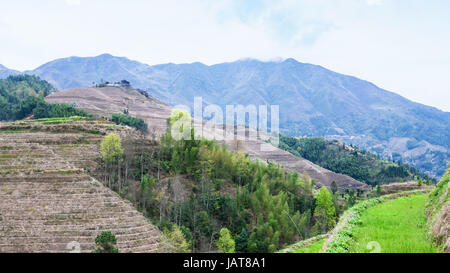 Reisen Sie nach China - Blick auf die Hügel in der Nähe von Dazhai Dorf im Land von Longsheng Reisterrassen (Dragon es Rückgrat Terrasse, Longji Reisterrassen) im Frühjahr Stockfoto