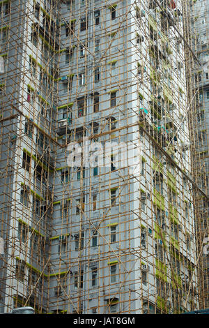 Bambus-Gerüst auf Wohnung Hochhaus, Kowloon, Hong Kong, China Stockfoto