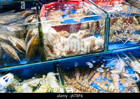 Reisen Sie nach China - Kraken, beruhigt, Langusten auf Huangsha aquatische Produkt-Markt in der Stadt Guangzhou im Frühling Stockfoto