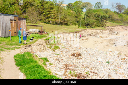 Simrishamn, Schweden - 19. Mai 2017: Ökologische Dokumentarfilm. Personen suchen in erodierten Strand. Erosion hat große Teile der Erde ins Meer entfernt. Stockfoto