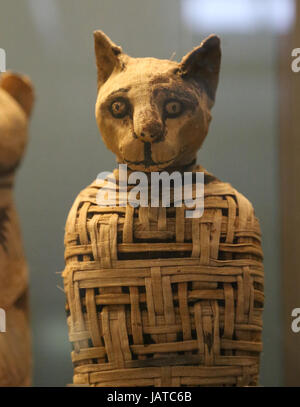 Alten Ägypten. Mumifizierte Katze. c. 1. Jhd n. Chr.. Aus Abydos. British Museum. London. VEREINIGTES KÖNIGREICH. Stockfoto