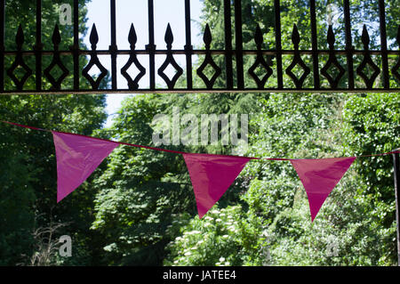 Rosa Bunting oder 3 Fahnen Fernsehen unter und Eisentor mit einem Hintergrund aus grünen Blättern an Bäumen durch Sonnenlicht und eine blaue Skypink Kunststoff Pennan beleuchtet Stockfoto