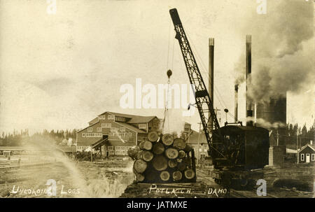 Antike c1910 Foto, entladen Protokollen am Potlatch Sägewerk in Potlatch, Idaho. QUELLE: ORIGINAL REAL PHOTO POSTKARTE. Stockfoto