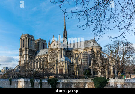 Kathedrale Notre Dame aus dem Fluss Seine, Ile De La Cite, Paris, Frankreich, Europa Stockfoto