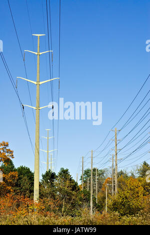 Zwei Linien der elektrische Türme Herbstwald auf der Durchreise. Stockfoto