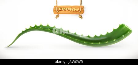 Aloe Vera. Heilpflanze, 3d Vektor icon Stock Vektor