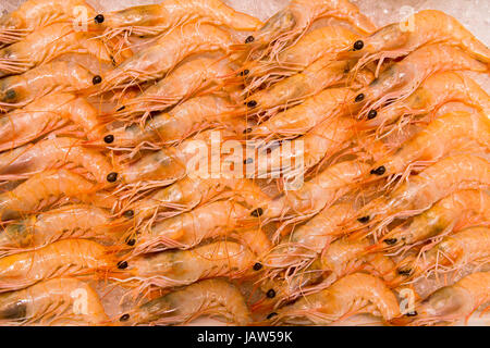 Nahaufnahme von einem Haufen von frischem rohen Garnelen. Stockfoto