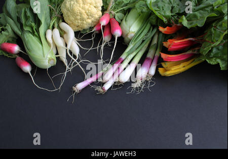 Bauernhof frischen Marktgemüse auf schwarzem Hintergrund Stockfoto